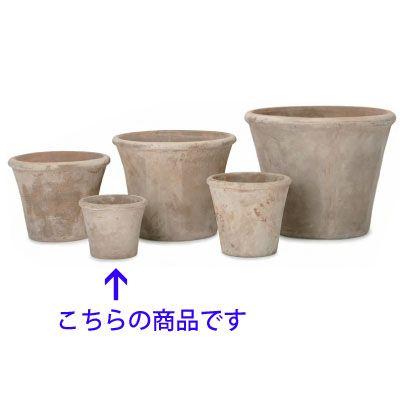 テラアストラ・アダーラ 25cm (YT-AS-R29X08E) | 