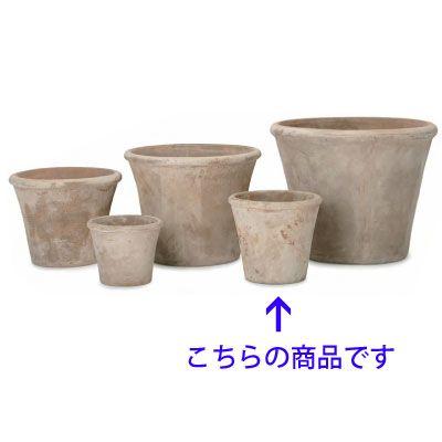 テラアストラ・アダーラ 32cm (YT-AS-R29X11E) | 