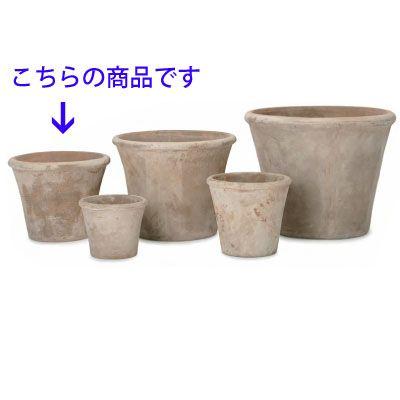 テラアストラ・アダーラ 41cm (YT-AS-R29X14E) | 