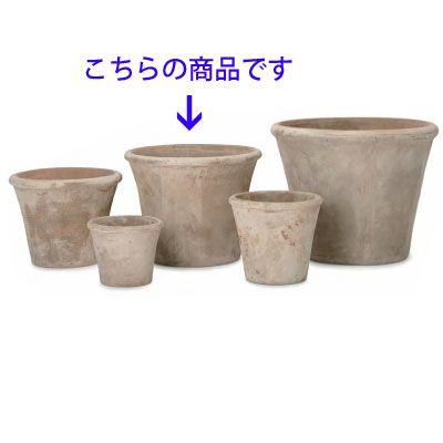 テラアストラ・アダーラ 52cm (YT-AS-R29X17E) | 