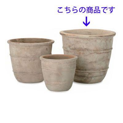 テラアストラ・シリウス 56cm (YT-AS-R32X19E) | 