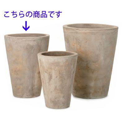 テラアストラ・ミモザ 47cm (YT-AS-R33X13E) | 