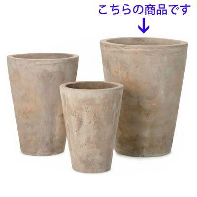 テラアストラ・ミモザ 58cm (YT-AS-R33X16E) | 