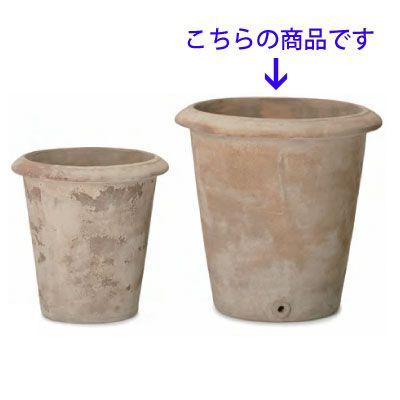 テラアストラ・アリオト 45cm (YT-AS-R39X15E) | 