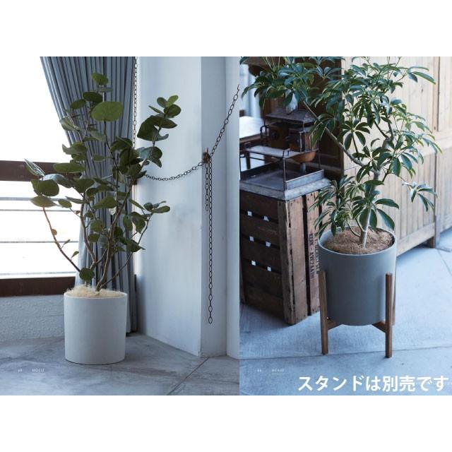 ホルスト・シリンダー鉢カバー 38cm (ホワイト) (YT-HO-R01W13V) |  | 02