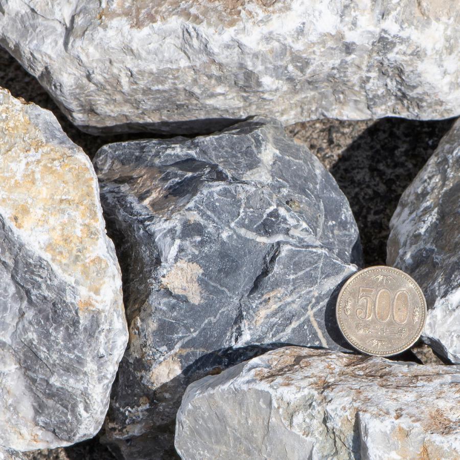 割栗石 ロックガーデン 石 庭石 庭 ガーデニング 砂利敷き エクステリア 外構 200kg 20kg×10 5-20cm 石畳 和風 洋風 造園 天然石 白砕石 白 ホワイト 自然石 NXstyle 庭園敷砂利 プレシャスグラベル グレー＆ホワイト 約100kg PG-G10 J1294021307(12900円)