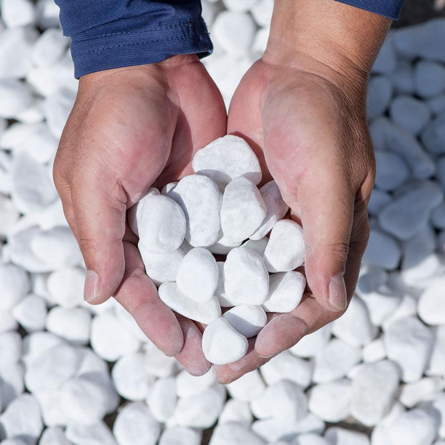 玉砂利 白 20kg×5 2-3cm 天然石 ガーデニング 2761 玉砂利 白 20kg×5 2-3cm 天然石 ガーデニング 2761