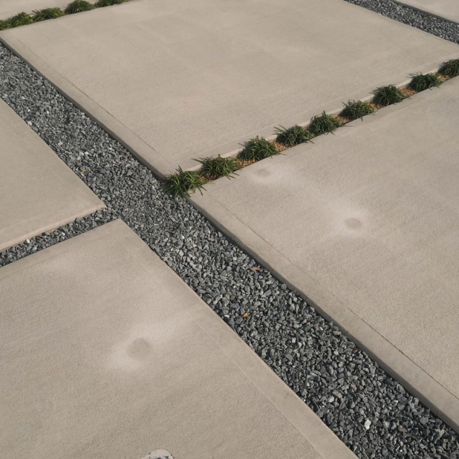 植栽タマリュウ 60ポット グランドカバー アプローチ 玄関回り 庭園 坪庭 駐車場 ガーデニング 観葉植物 花苗 スリット 目地 グランドカバー 下草 北海道 九州 沖縄 離島地域へのお届けは出来ません 了解しました Royaldiamondlabradoodles Com