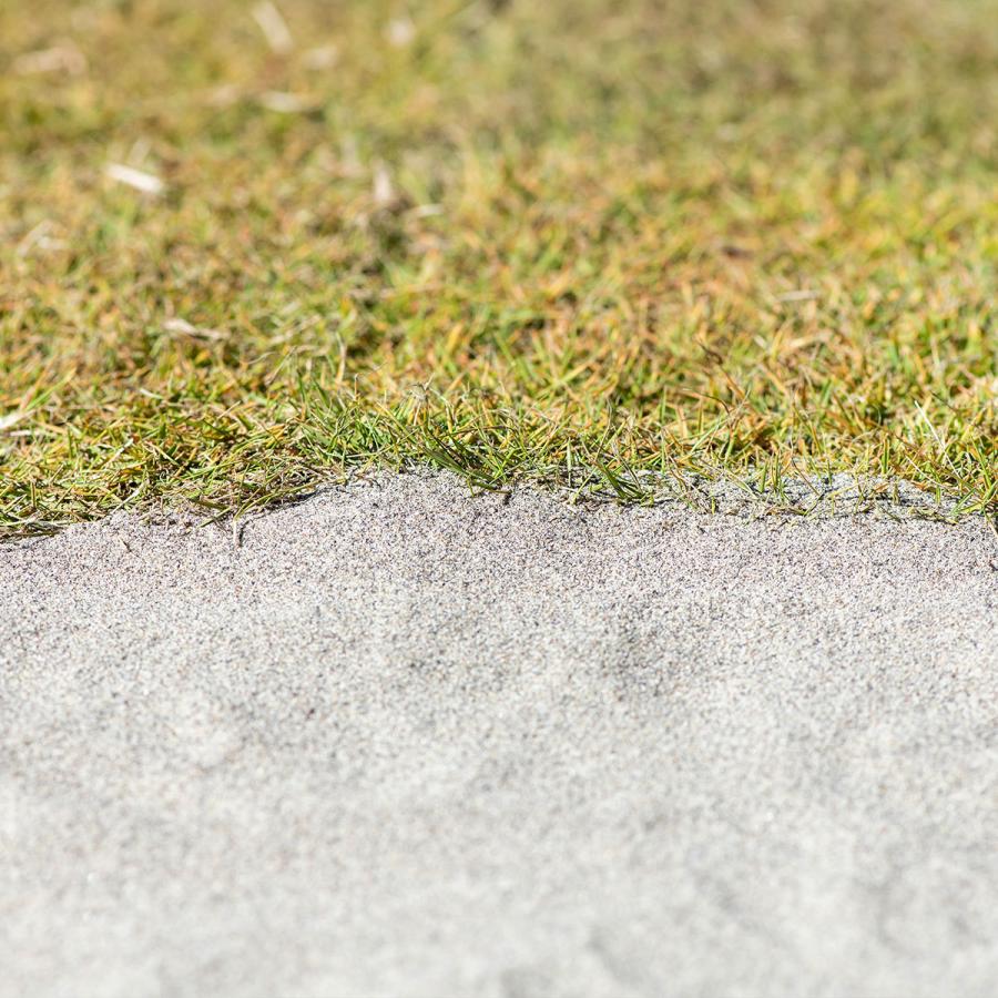芝砂芝生用 目砂 kg 1mm ぬかるみ 修復 乾燥 育成 養生 目土 透水性 水はけ 充填 補修 ガーデニング シルバーグレー 造園 国産 Turf Sand ガーデンステージ 通販 Yahoo ショッピング