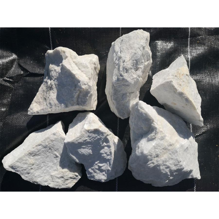 ［即日発送］ 庭石 割栗石 ロックガーデン 石 庭 ガーデニング 砕石 砂利敷き エクステリア 外構 400kg 20kg×20 10-25cm ホワイトロック 白 ホワイト 造園 天然石 花壇 自然 【HO7604551125】(26800円)