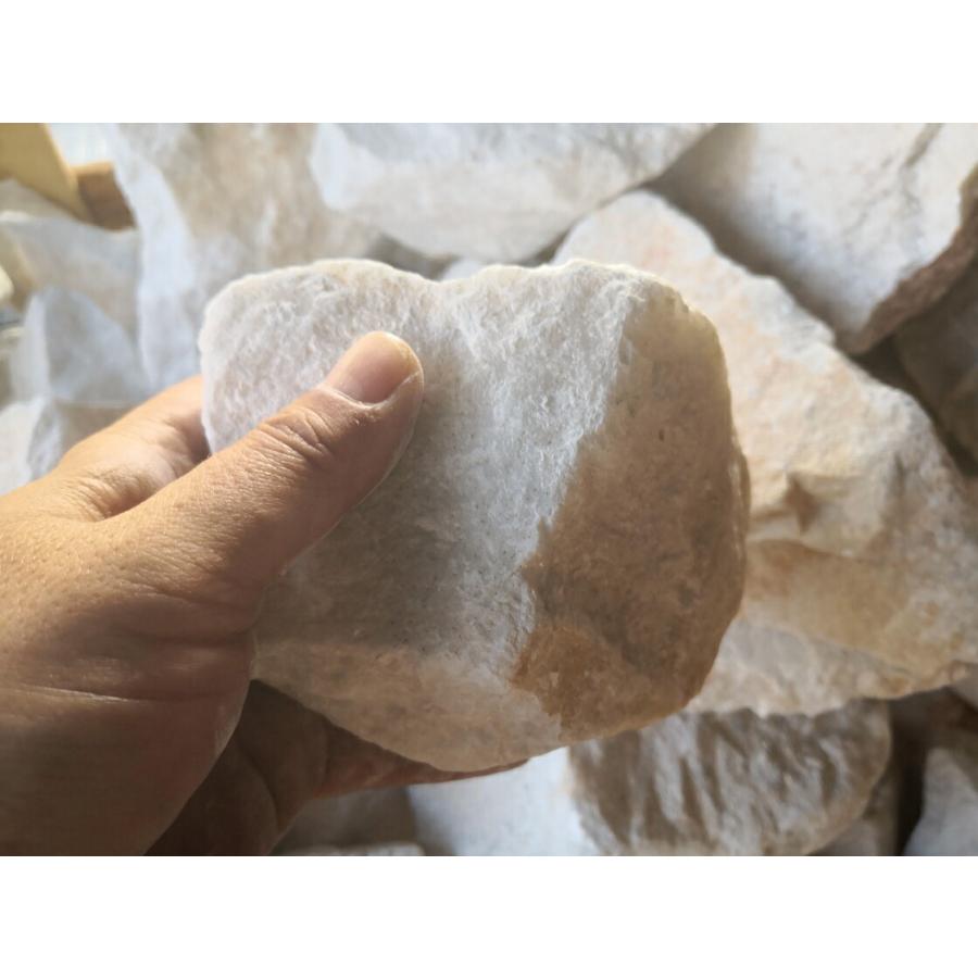 庭石 割栗石 ロックガーデン 石 庭 ガーデニング 砕石 砂利敷き