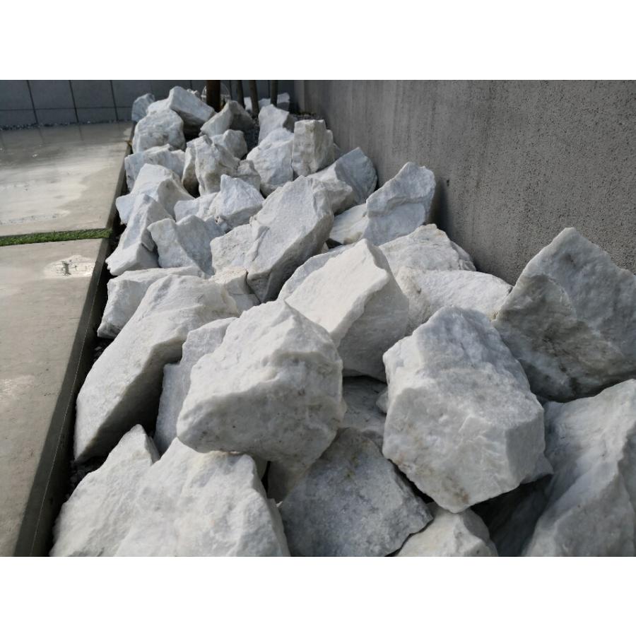 庭石 割栗石 ロックガーデン 石 庭 ガーデニング 砕石 砂利敷き