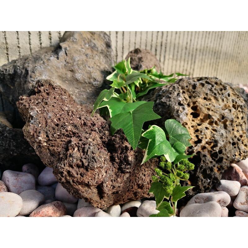 浅間溶岩石庭石石庭ガーデニングロックガーデンドライガーデン