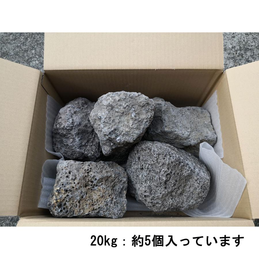 溶岩石 庭石 ロックガーデン 石 庭 ガーデニング 砂利敷き