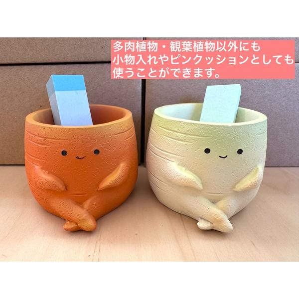 大根＆人参】リトルレジンポット 1号鉢 2個セット 多肉植物 ミニ