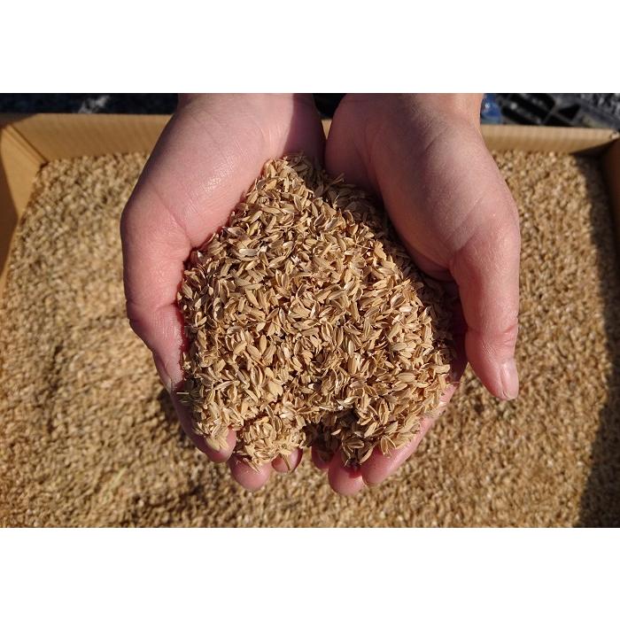 もみがら 約50L（50リットル）入/箱【家庭菜園】【もみ殻】【籾殻