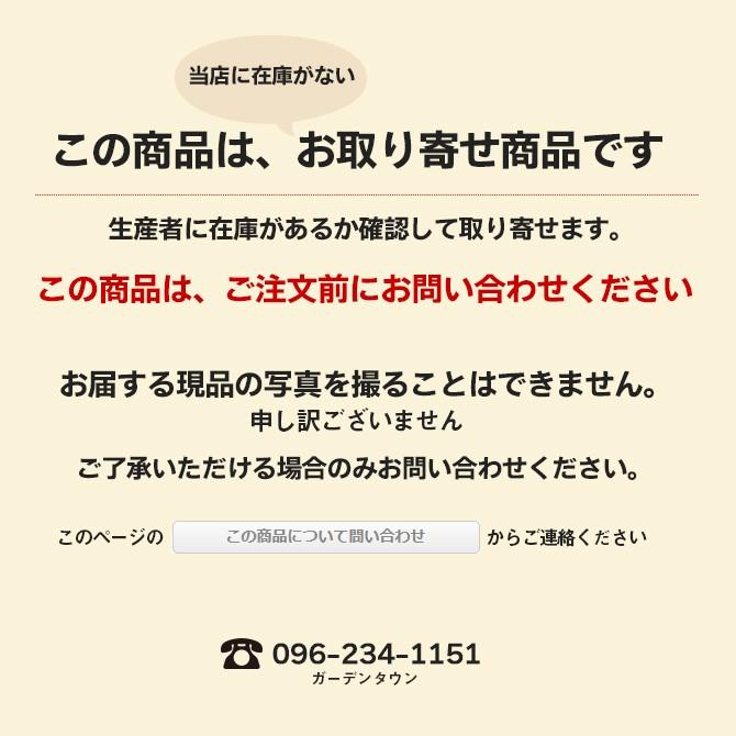 ヤマコウバシ（山香ばし） 単木 樹高2.0m前後 露地苗 低木 落葉樹の画像