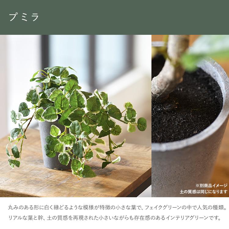 フェイクグリーン 鉢付き おしゃれ プミラ ポット ミニ 3号 人工観葉 