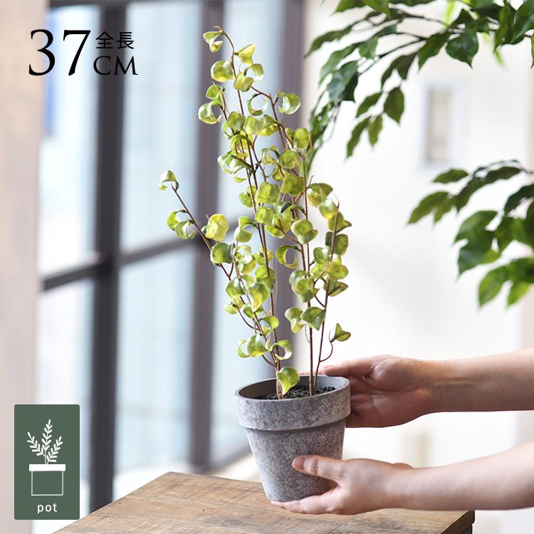 人工観葉植物 ステンレスポット付き フェイクグリーン 鉢付き おしゃれ フィカスシタシオン ポット ミニ 4