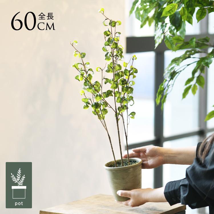 フェイクグリーン 鉢付き おしゃれ ベンジャミンバロック ポット ミニ