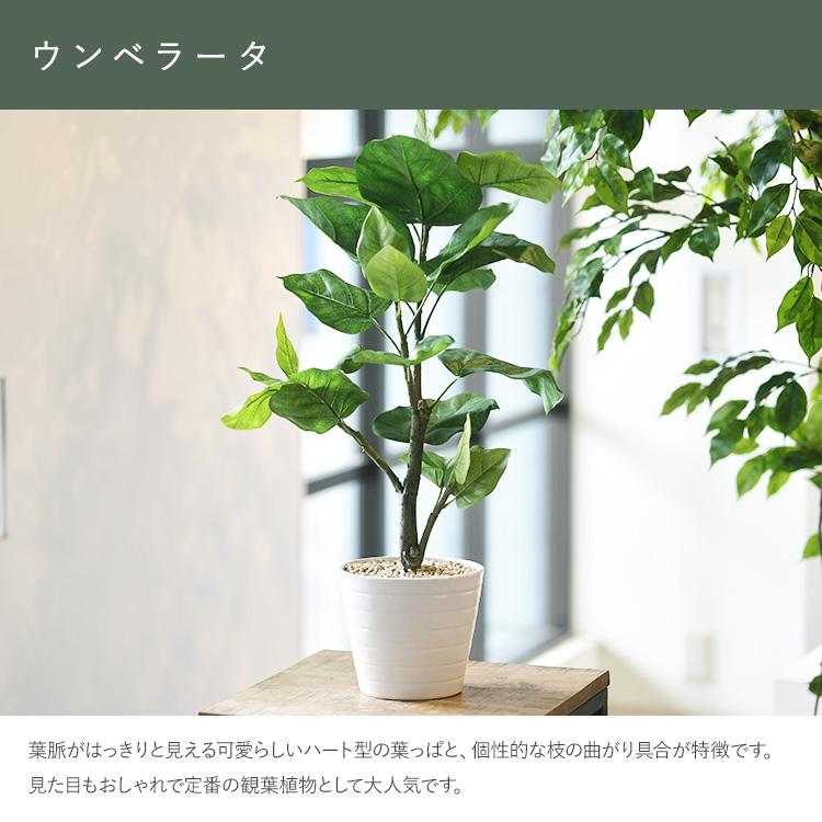 フェイクグリーン 鉢付き おしゃれ ウンベラータ ポット 人工観葉植物 