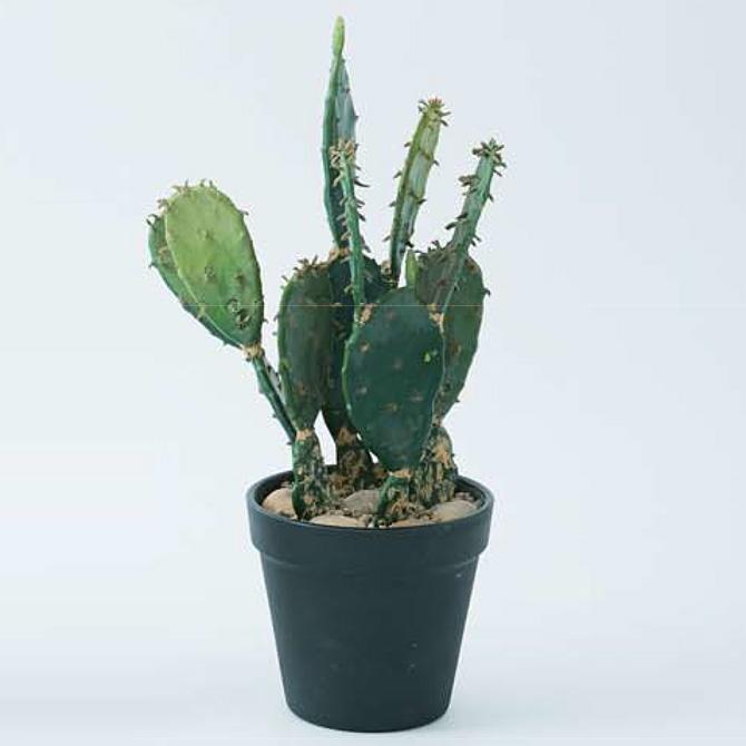 観葉植物 造花 リアル サボテン グリーン 卓上 デスク おしゃれ 多肉