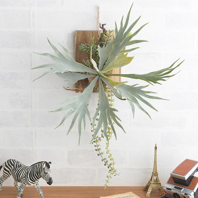 フェイクグリーン 壁掛け 額 ブラウン ビカクシダ ウォールハンギング