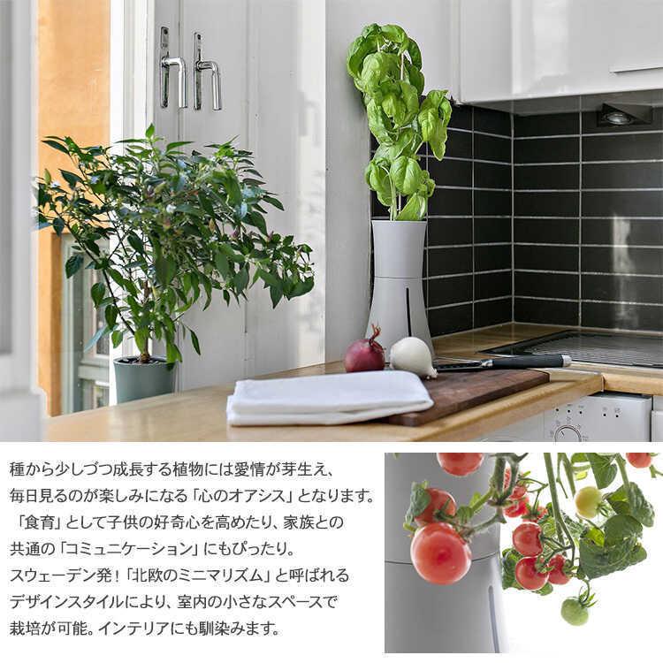 BOTANIUM 自動水やりプランター 自動水やりプランター Botanium｜花や野菜が枯れにくい水切れ対策方法