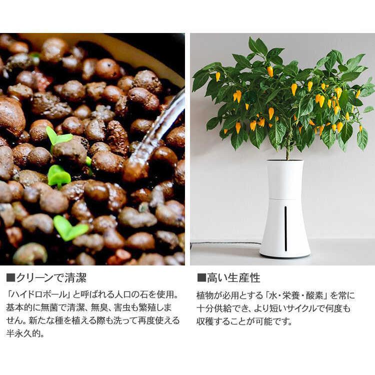水耕栽培 キット Botanium ボタニアム 自動散水式プランター 栽培