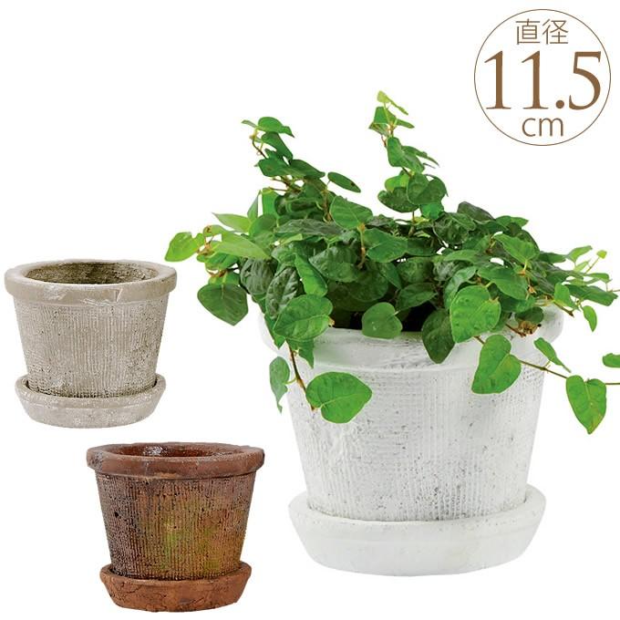 テラコッタ 植木鉢 ミニ 陶器 白 フラワーポット 素焼き鉢 F11 5cm Mpg 0507 ガーデン用品屋さん 通販 Yahoo ショッピング