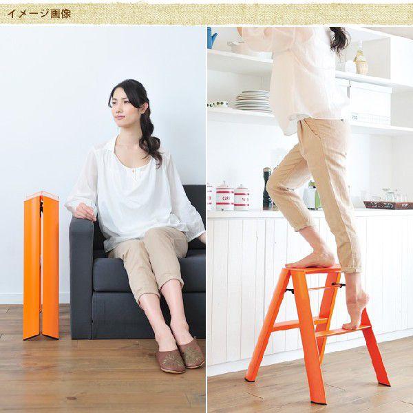 ルカーノ　踏み台2段 （折りたたみ式） 長谷川工業 ルカーノ 脚立 踏み台 ステップ台 折りたたみ 2段