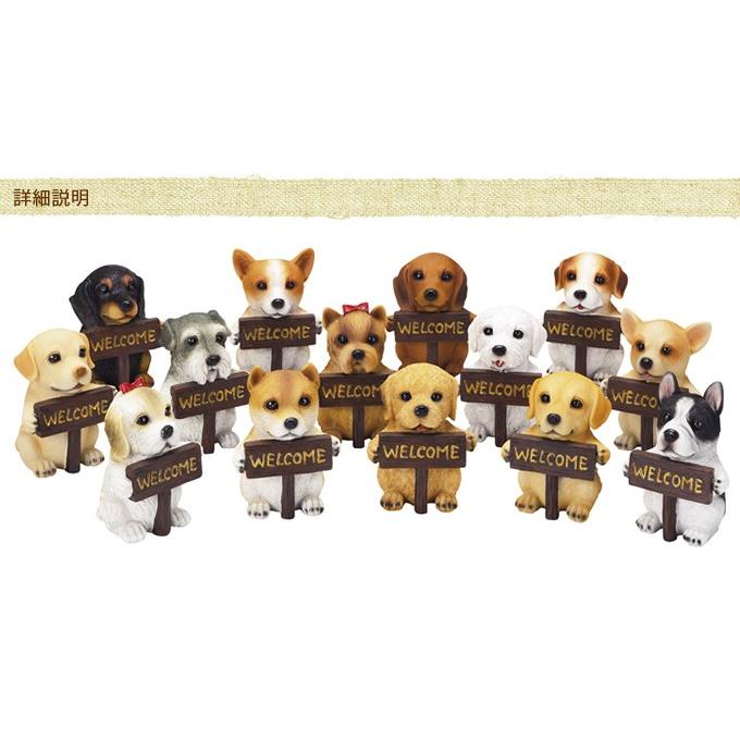 卓抜 ウエルカムボード 可愛い かわいい 動物 置物 犬 いぬ ワンちゃん Scp 案内板持ちドッグオーナメント Supplystudies Com