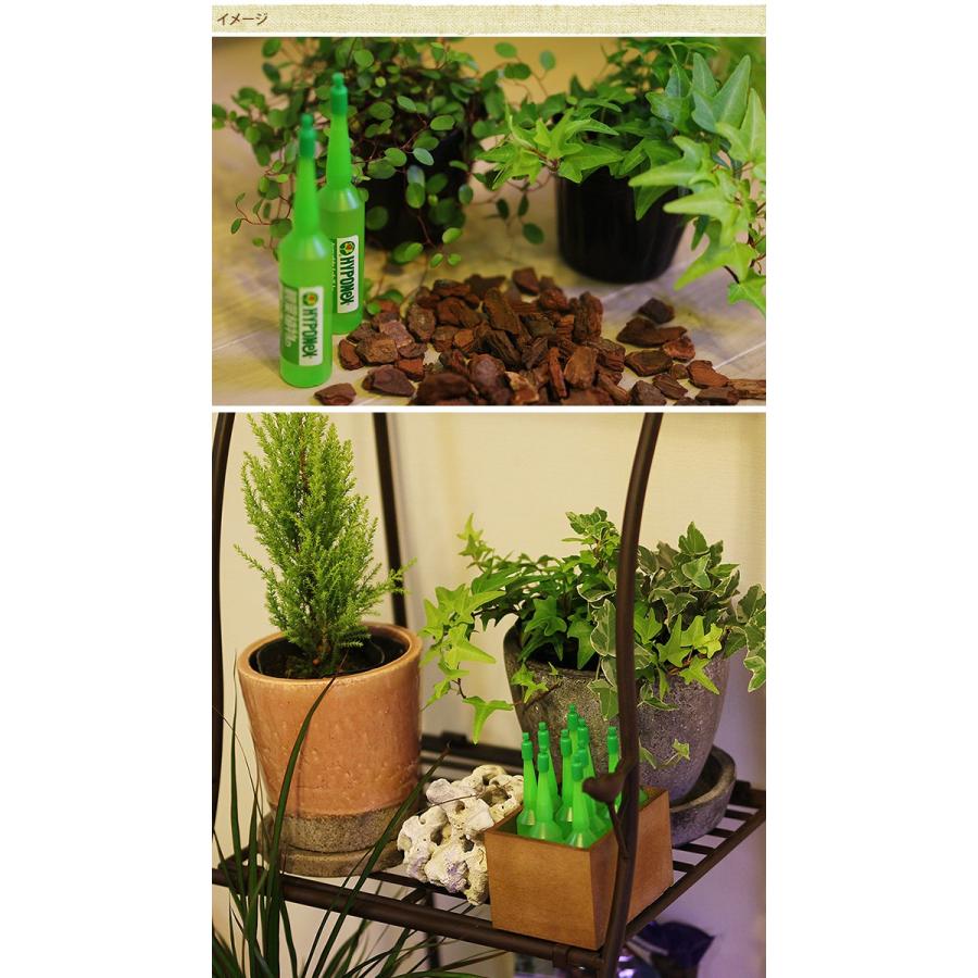 肥料 アンプル 液肥 活力 ハイポネックス 鉢に挿すだけのアンプル肥料 10本入り Mpg 2110 ガーデン用品屋さん 通販 Yahoo ショッピング