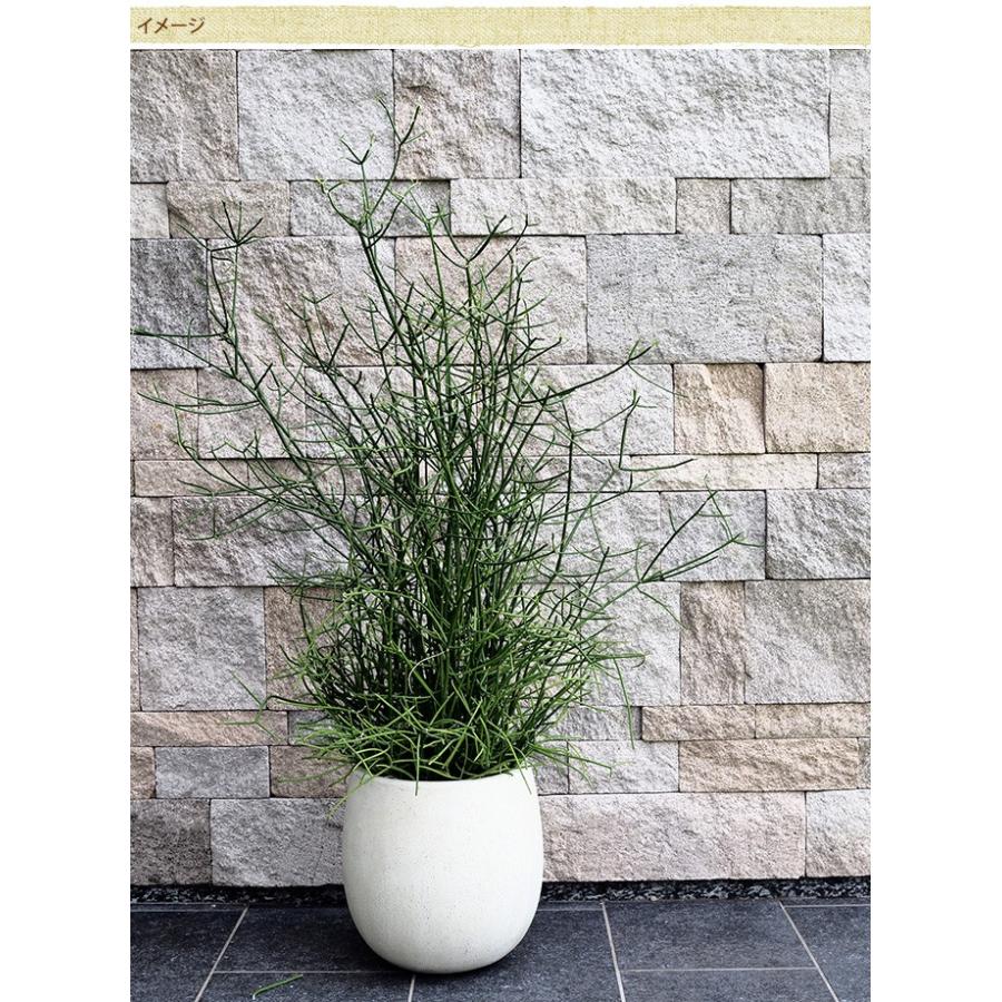 鉢 大型 底穴あり お椀 椀型 プランター シンプル エントランス