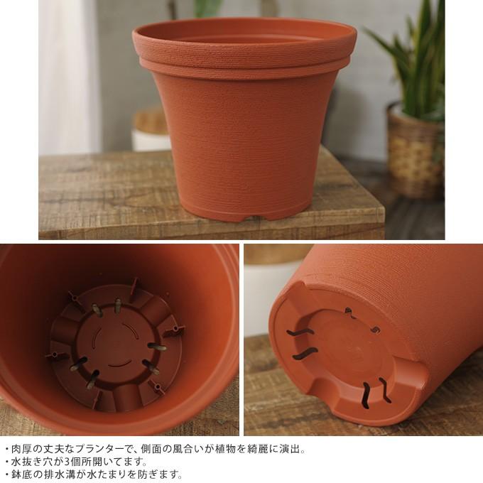 プラ鉢 シンプル かわいい 屋外 プラスチック 軽い フラワーカップ 大型軽量シンプルプランター 10号鉢 Mpg 2661 ガーデン用品屋さん 通販 Yahoo ショッピング