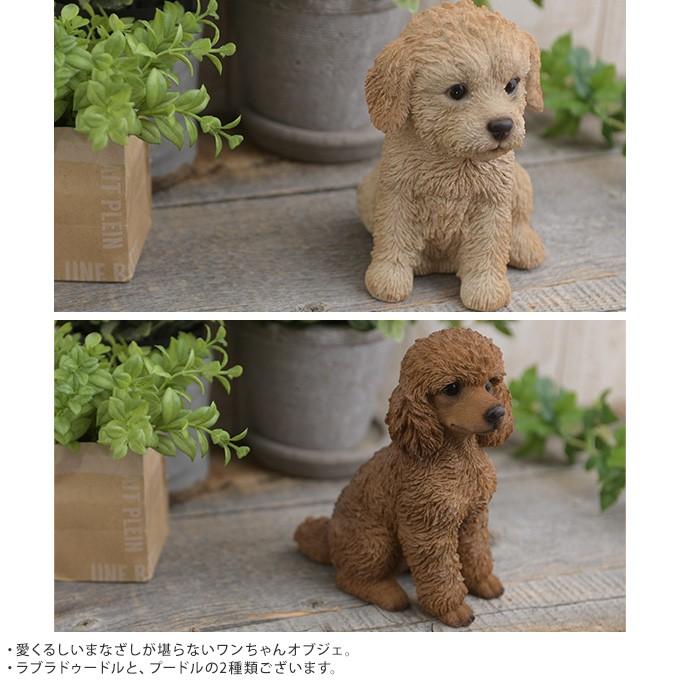 本物そっくり お座り子犬 プードル ラブラドゥードル わんちゃん 置物 オーナメント リアル ドッグ こだわり Mpg 2909 ガーデン用品屋さん 通販 Yahoo ショッピング