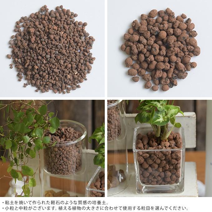 水耕栽培 基本 培養土 ベーシック 室内 植物 育成 インテリア ハイドロコーン 2l Mpg 2978 ガーデン用品屋さん 通販 Yahoo ショッピング