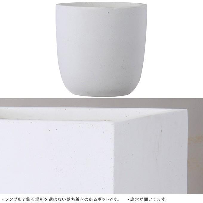 コンクリート 鉢 飾らないままを飾る ラウンド 直径43cm 大きい