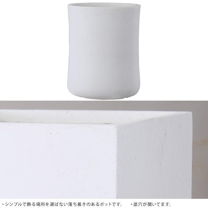 コンクリート 鉢 飾らないままを飾る ミドル 直径44cm 大きい
