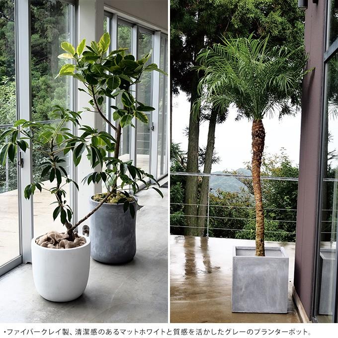 コンクリート 鉢 飾らないままを飾る スクエア 35 35cm 大きい プランター 大型 植木鉢 シンプル Mpg 3006 ガーデン用品屋さん 通販 Yahoo ショッピング