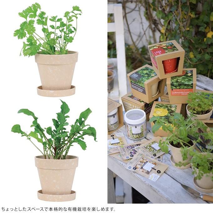 栽培キット 簡単 安心 安全 かわいい 気軽 手ごろ 育てて食べる 野菜 栽培セット オーガニック Mpg 3065 ガーデン用品屋さん 通販 Yahoo ショッピング