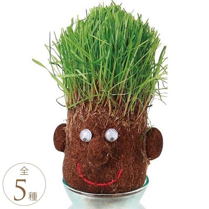 お父さん プレゼント 植物 育成 男性 育毛 ゲーム 楽しい 伸びろ髪の毛 愉快に芝栽培 ヘアラボ Mpg 3068 ガーデン用品屋さん 通販 Yahoo ショッピング