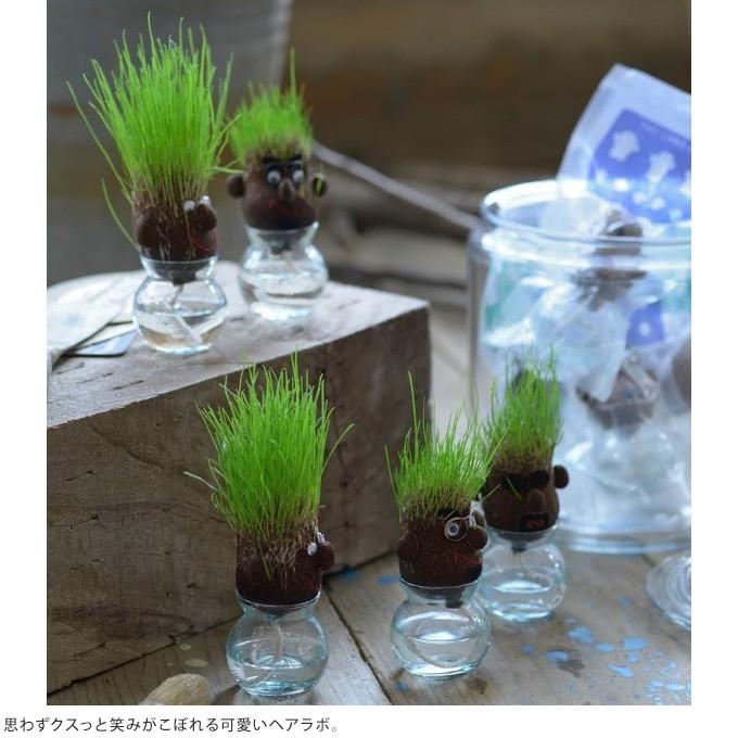 お父さん プレゼント 植物 育成 男性 育毛 ゲーム 楽しい 伸びろ髪の毛 愉快に芝栽培 ヘアラボ Mpg 3068 ガーデン用品屋さん 通販 Yahoo ショッピング