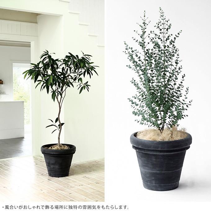 大きめ 鉢 プラスチック おしゃれ プラ鉢 ボルドー 直径35cm 大型 プランター 植木鉢 軽量 底穴あり 軽い 丈夫 Mpg 32 ガーデン用品屋さん 通販 Yahoo ショッピング