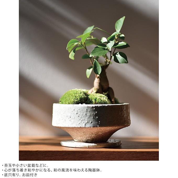 陶器鉢 水抜き穴あり プランター おしゃれ 和室になじむ 松帆 S Mpg 3303 ガーデン用品屋さん 通販 Yahoo ショッピング