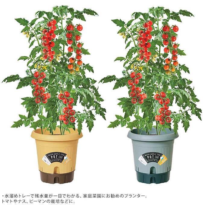 プラスチック 鉢 水やり 底穴あり 簡単 初心者 プラ鉢 不在時も安心 楽々 プランター 給水式 ポット 360 Mpg 3423 ガーデン用品屋さん 通販 Yahoo ショッピング