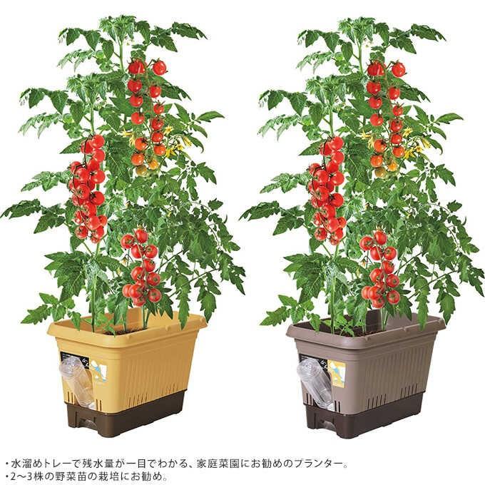 プラスチック 鉢 水やり 底穴あり 簡単 初心者 プラ鉢 不在時も安心 楽々 プランター 給水式 ポット 500 Mpg 3424 ガーデン用品屋さん 通販 Yahoo ショッピング