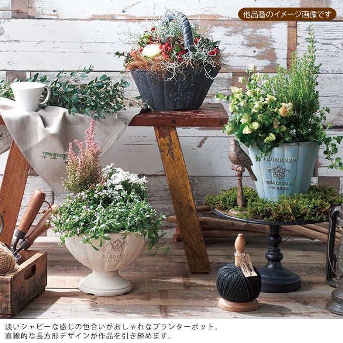 絵本の世界 おしゃれ プランター ポット メルヘン ワイドボックス S 鉢 底穴あり プランターポット かわいい 植木鉢 Mpg 34 ガーデン用品屋さん 通販 Yahoo ショッピング