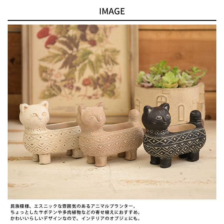 雪ねこ農園～2025年種入荷！～ビンテージ　オシャレ　アンティーク 雪ねこ農園～2025年種入荷！～ビンテージ オシャレ アンティーク