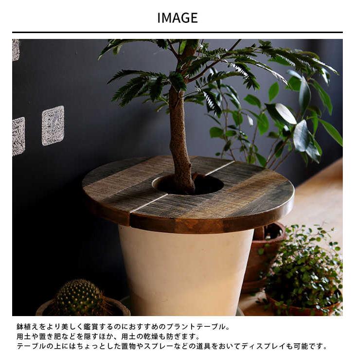 プラントテーブル 天板 サイドテーブル コーヒーテーブル 木 木製
